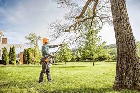 Best Hedge Trimming  in Newstle, CA